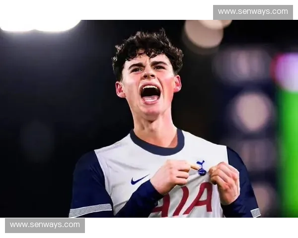 热刺节操巷：从传奇球员到现代足球，英超劲旅的辉煌历程与未来展望