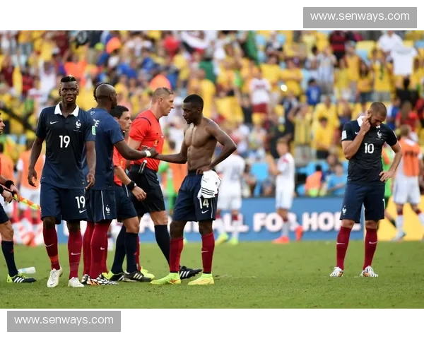 斯旺西足球俱乐部的辉煌历程与重返巅峰之路的奋斗故事